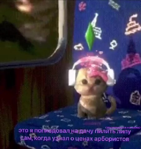 это япойеДовал назцачу Minute липу 0 бам, Когда у®ал о ценах арбористов or mes soe _ СВЗДИВЦИЙВся навабор это япойИвДбвал натвачу ПИлить липу и fu > свадившийВя nareaBoy этоя поймёДовал надачу Пили ли