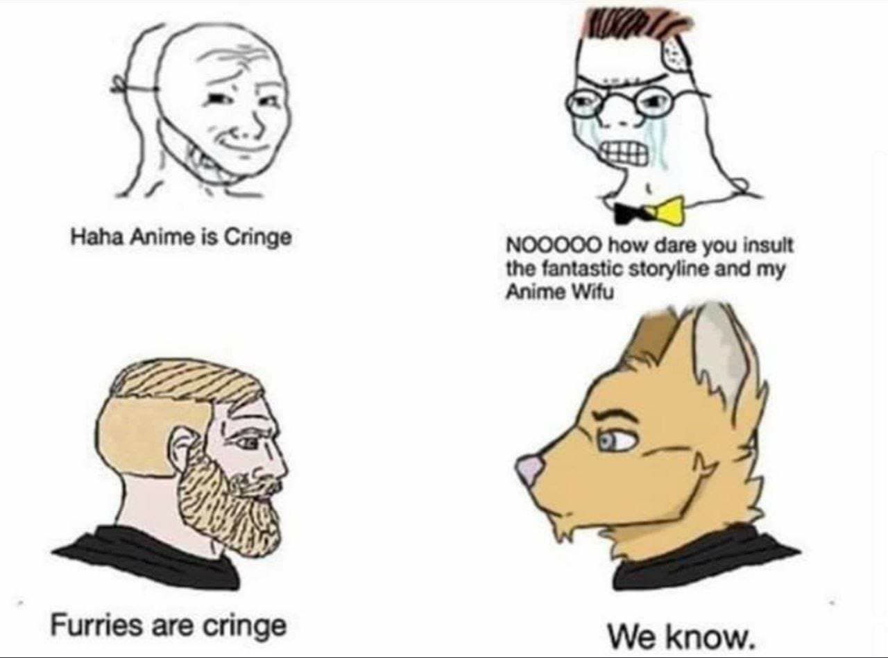Haha Anime is Cringe NOOOOO how dare you insult the fantastic storyline and my Anime Witu Furries are cringe We know.