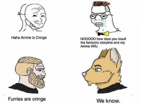 Haha Anime is Cringe NOOOOO how dare you insult the fantastic storyline and my Anime Witu Furries are cringe We know.