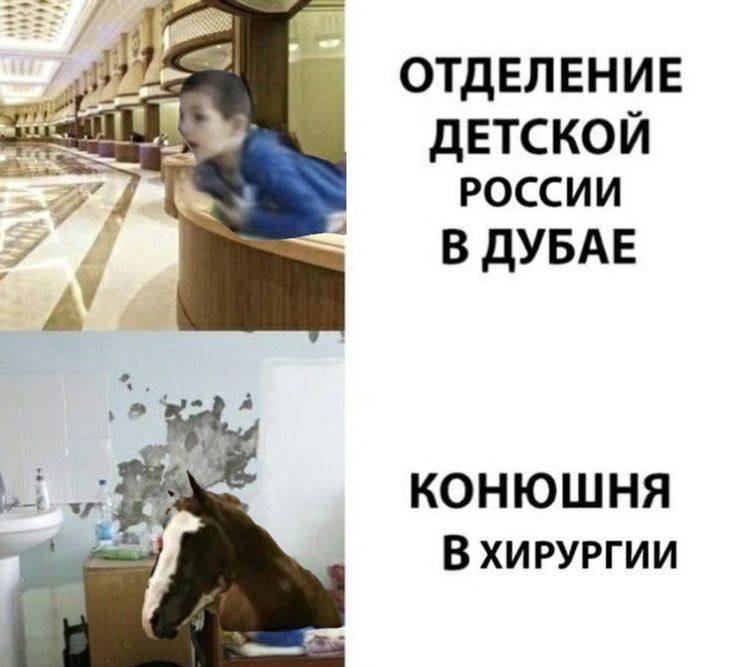 ОТДЕЛЕНИЕ ДЕТСКОЙ РОССИИ В ДУБАЕ A’ КОНЮШНЯ В ХИРУРГИИ
