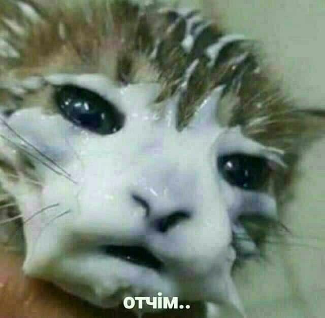 OTUIM..
