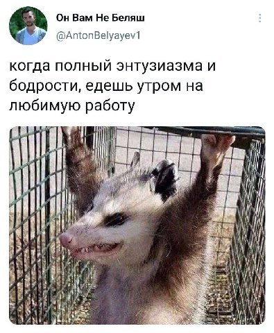 Он Вам Не Беляш @AntonBelyayev1 когда полныи энтузиазма и бодрости, едешь утром на любимую работу WIN