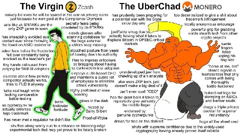 Zcash The Virgin The UberChad момево naively believes he will be spared in the war on privacy coins паз prudently been preparing for too decentralized to give a shit about just because he won gold at 