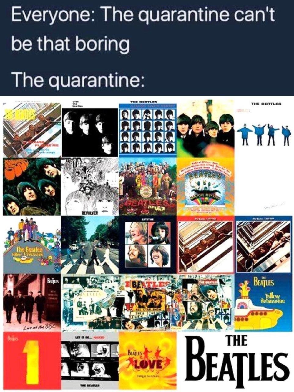 Everyone: The quarantine can't be that boring The quarantine: we 7 DEATLES