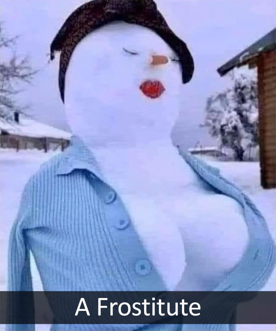А Frostitute