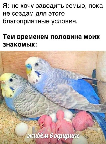 Я: не хочу заводить семью, пока не создам для этого благоприятные условия. Тем временем половина моих знакомых: 4