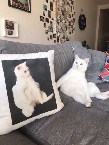 “4