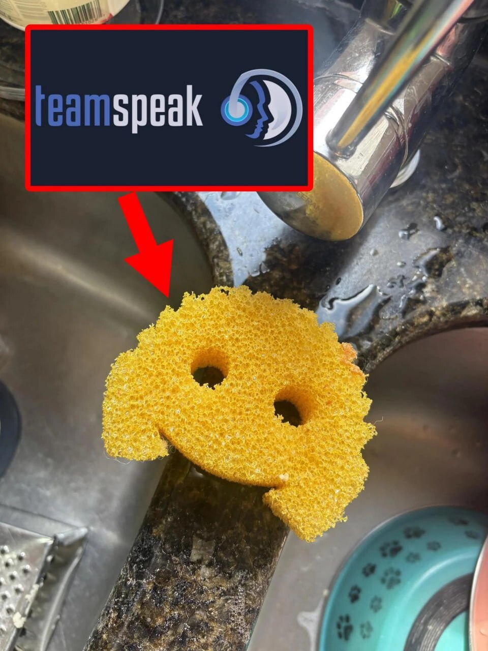 AN speak 6))) я