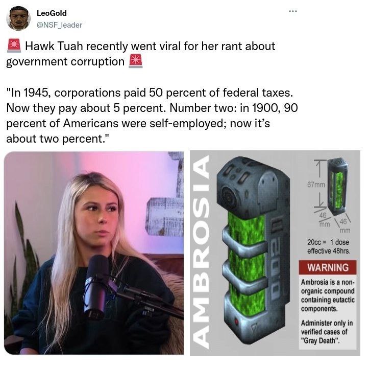 LeoGold @NSF_leader Hawk Tuah recently went viral for her rant about government corruption "In 1945, corporations paid 50 percent of federal taxes. Now they pay about 5 percent. Number two: in 1900, 9