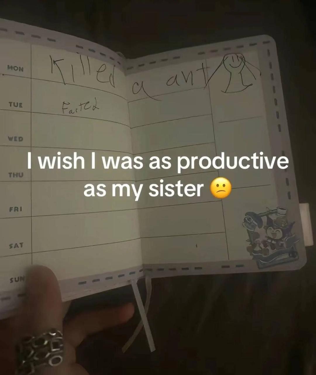 wish was as productive as my sister