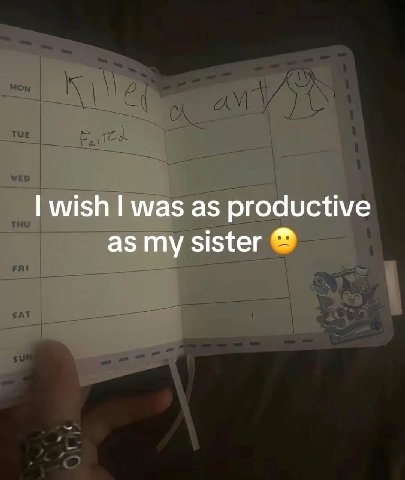 wish was as productive as my sister