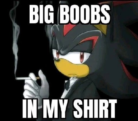 BIG BOOBS IN MY SHIRT