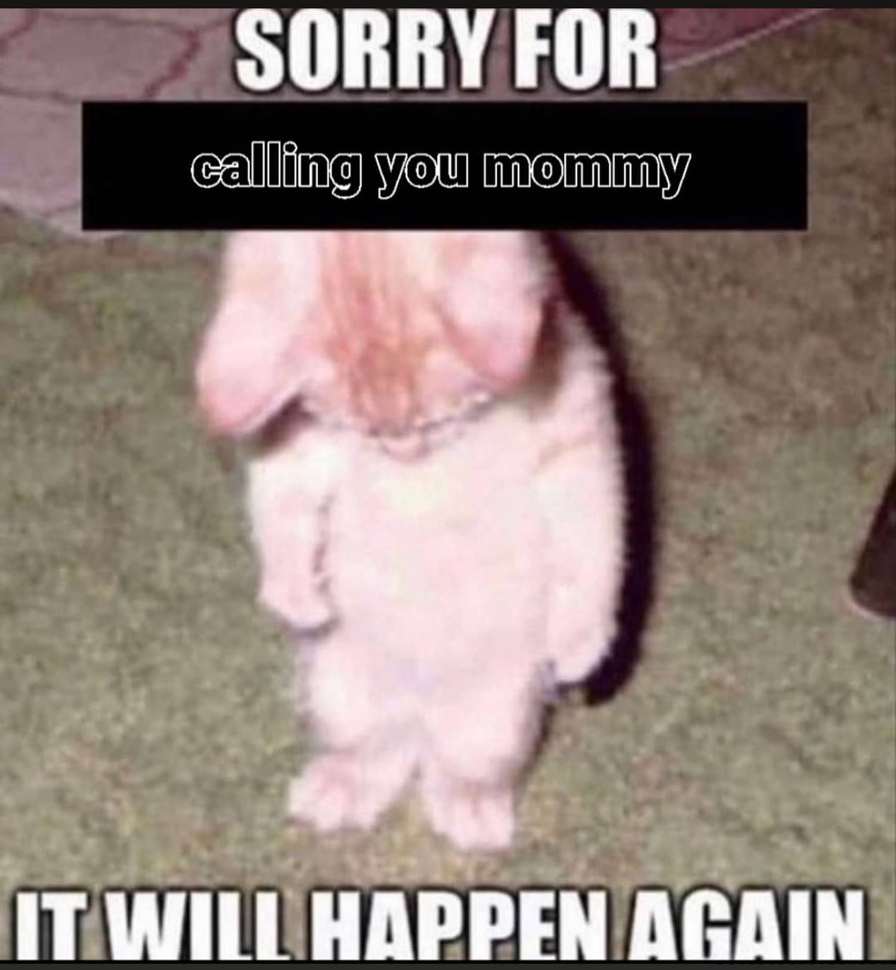 SORRY FOR WOU IT WILL HAPPEN AGAIN