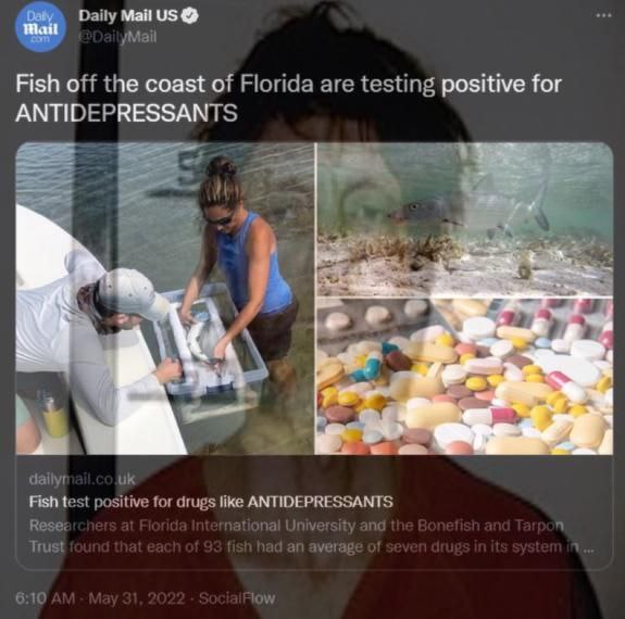 Daily Май 9$ Fish off the coast of Florida are testing positive for ANTIDEPRESSANTS 2 whe у a dailyr Fish test positive for drugs like ANTIDEPRESSANTS Rese ational University anc Trust averag 6:10