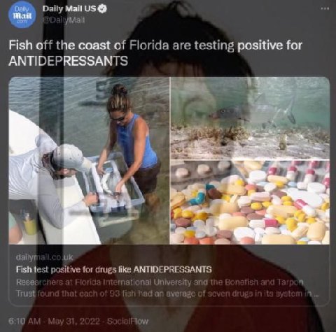 Daily Май 9$ Fish off the coast of Florida are testing positive for ANTIDEPRESSANTS 2 whe у a dailyr Fish test positive for drugs like ANTIDEPRESSANTS Rese ational University anc Trust averag 6:10