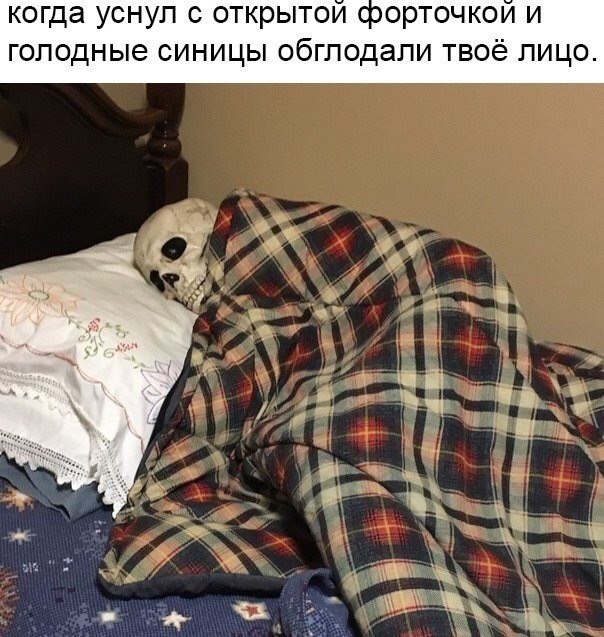 когда уснул с открытой форточкой и голодные синицы обглодали твоё лицо.