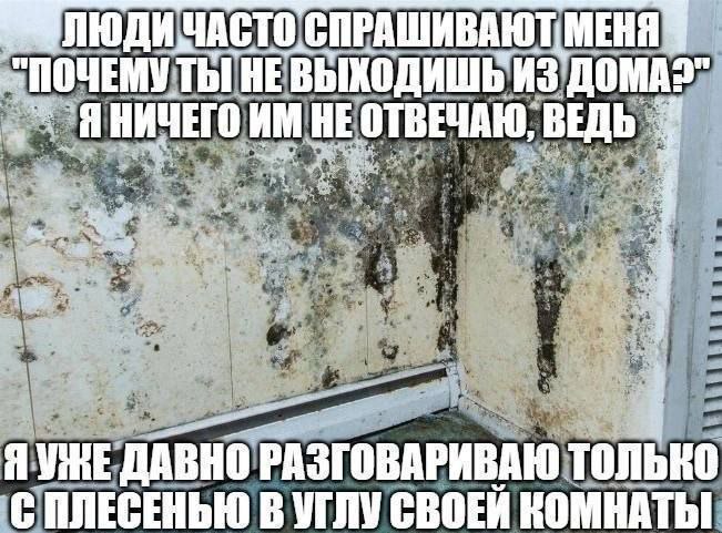 СПРАШИВАЮТ МЕНЯ ИЗ НИЧЕГО ОТВЕЧАЮ, Я УЖЕ ДАВНО РАЗГОВАРИВАЮ С ПЛЕСЕНЬЮ В УГЛУ КОМНАТЫ