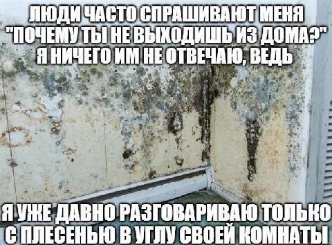 СПРАШИВАЮТ МЕНЯ ИЗ НИЧЕГО ОТВЕЧАЮ, Я УЖЕ ДАВНО РАЗГОВАРИВАЮ С ПЛЕСЕНЬЮ В УГЛУ КОМНАТЫ