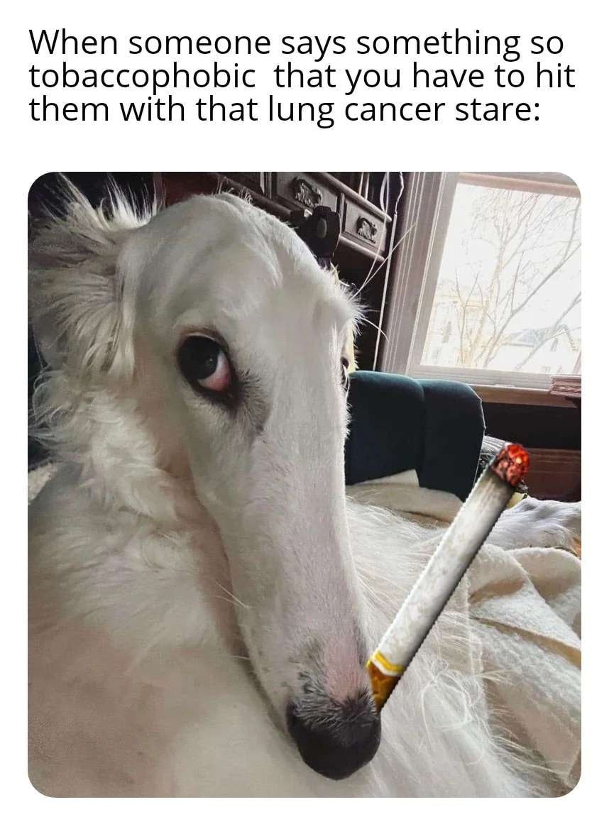 When someone says something so tobaccophobic that you have to hit them with that lung cancer stare: ‘Sut