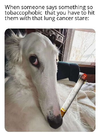 When someone says something so tobaccophobic that you have to hit them with that lung cancer stare: ‘Sut