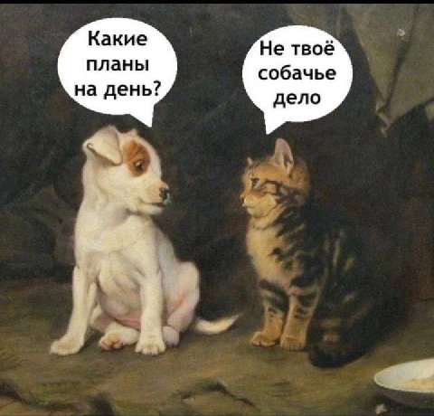Какие Не твоё планы собачье на день? дело