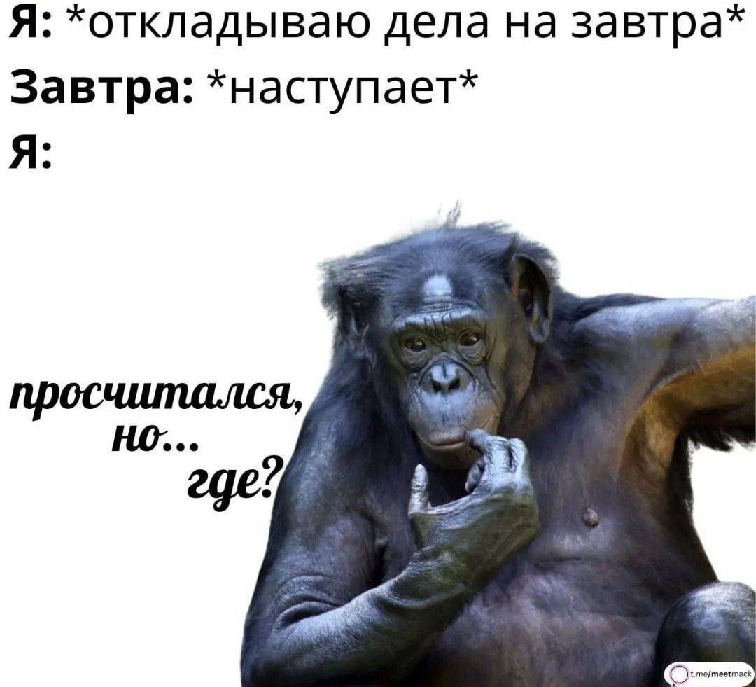 Я: *откладываю дела на завтра* Завтра: *наступает* Я: просчитался, 5 где: 7