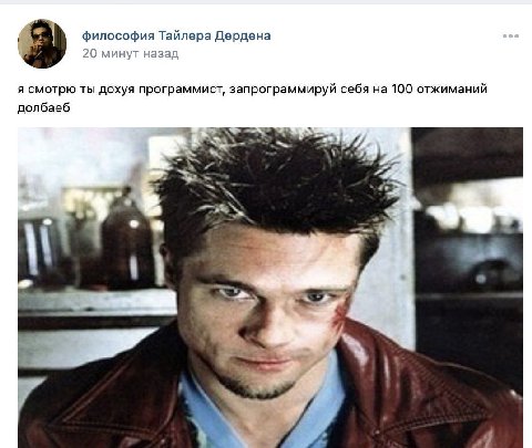 философия Тайлера Дердена 20 минут назад я смотрю ты дохуя программист, запрограммируй себя на 100 отжиманий долбаеб 4