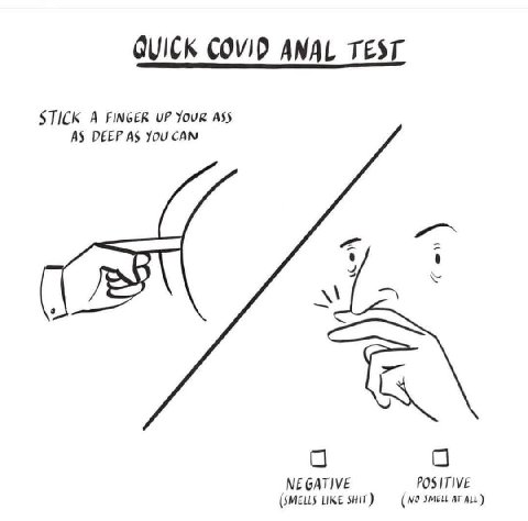 QUICK COVID ANAL TEST STICK A FINGER UP Your ASS AS DEEP AS You CAN О О NEGATIVE POSITIVE (SMELLS LIKE SHIT) ALL)