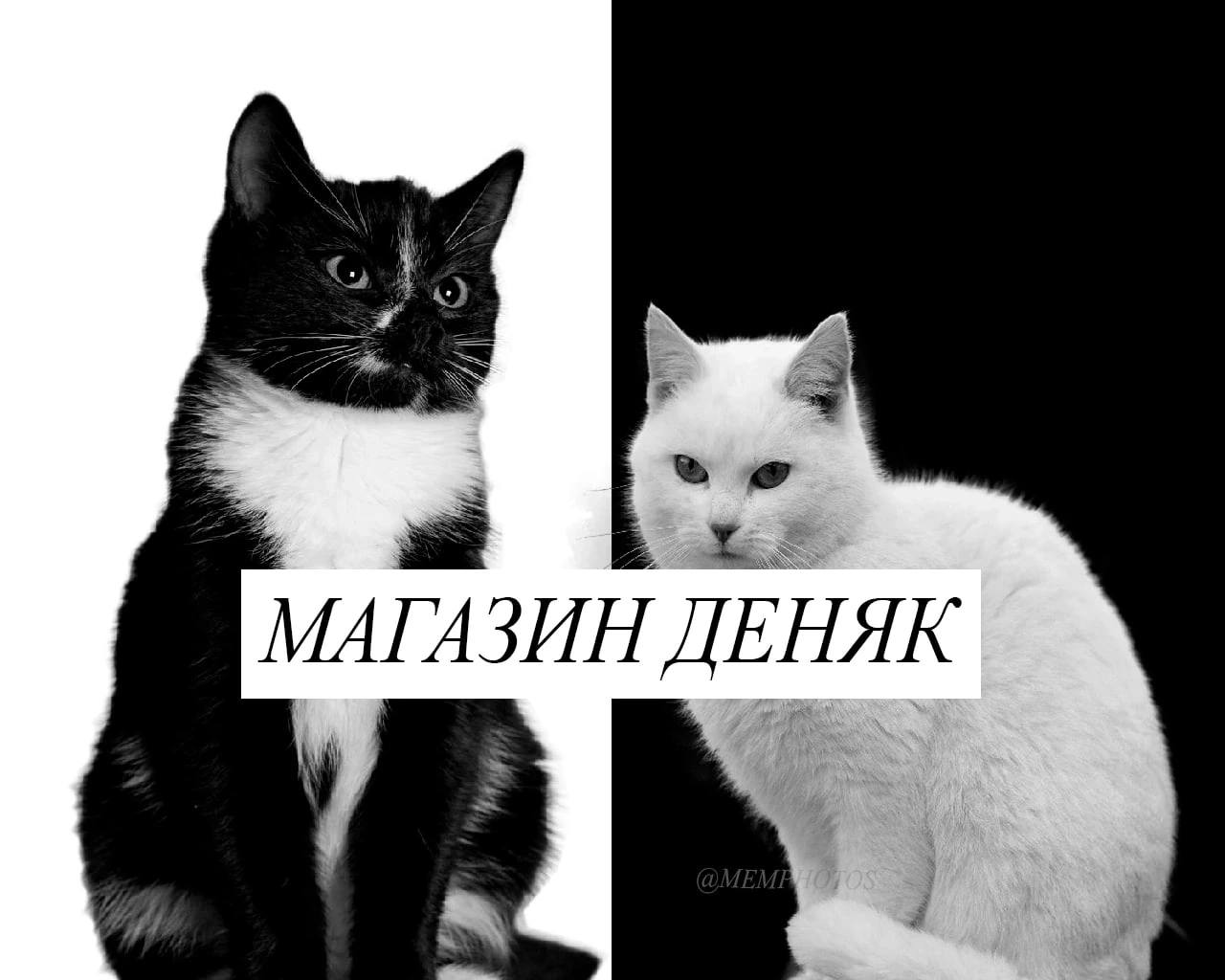 МАГАЗИН ДЕНЯК