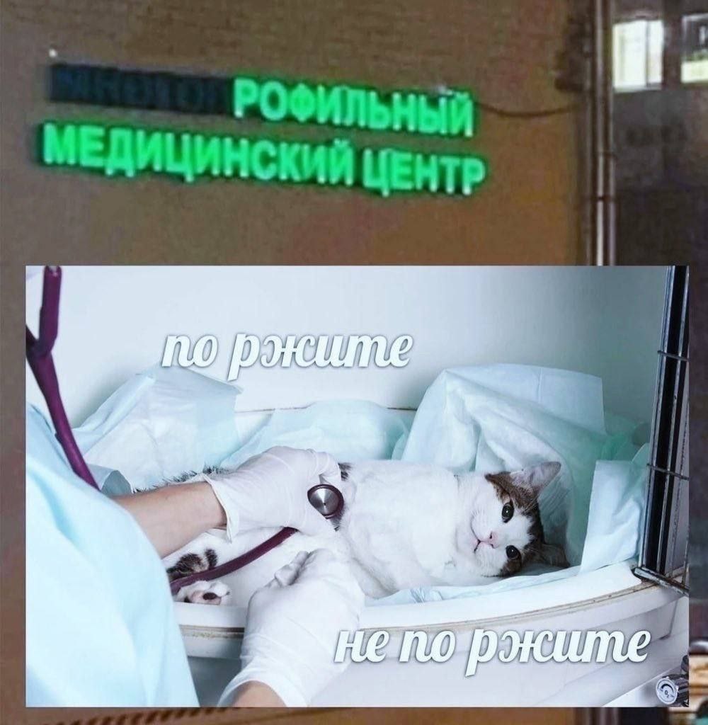 РОФИЛЬНЫЙ МЕДИЦИНСКИЙ ЦЕНТР 5