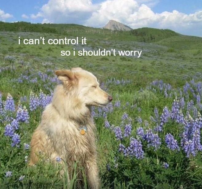 i can’t control it so shouldn’t worry 7: "4 4