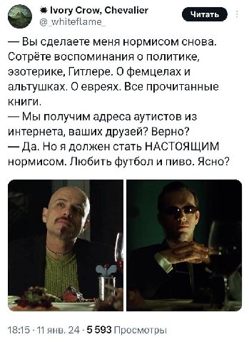 Ivory Crow, Chevalier whiteflame_ Вы сделаете меня нормисом снова. Сотрёте воспоминания о политике, эзотерике, Гитлере. О фемцелах и альтушках. О евреях. Все прочитанные КНИГИ. Мы получим адреса аутис