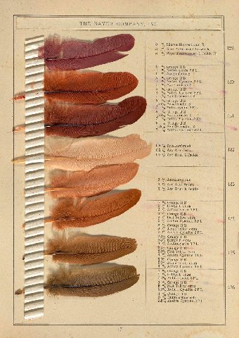 THE BAYER COMPANY, INC. i 3 В 8 Acid Anthracene Brown 129 3 а В 5 Orange к 4 Anthracyanin 1 Azogrenadin 5 Orange 4 Anthra Cyanine 130 1 Azo Crimson 5 4 Anthra Cyanine 1% Azo Gretiadine Orange 1,75% Az