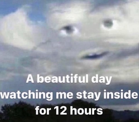 a A beautiful day watching me stay inside for 12 hours