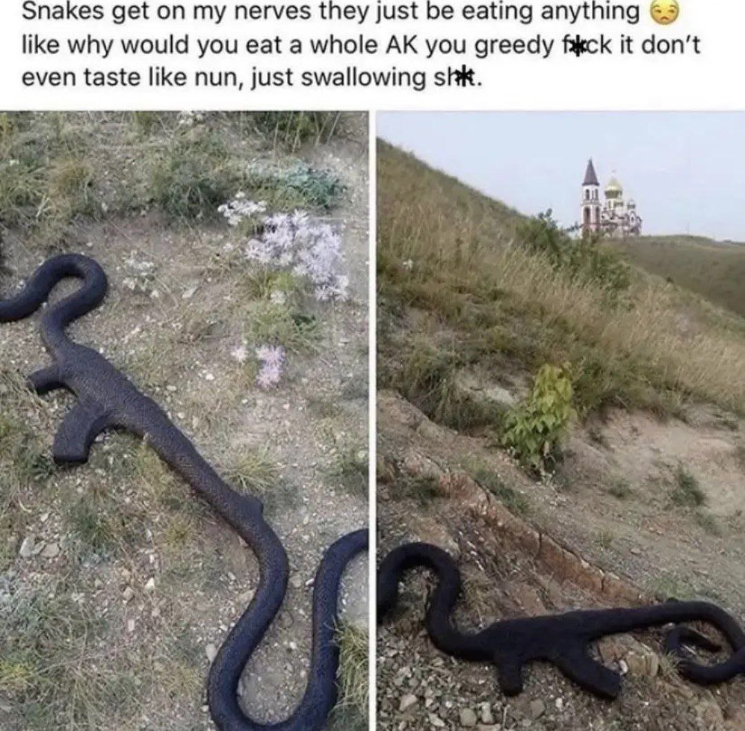 паке$ get on my nerves they just be eating anything like why would you eat a whole you greedy it don’t even taste like nun, just swallowing shk. у 4