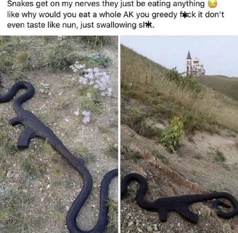 паке$ get on my nerves they just be eating anything like why would you eat a whole you greedy it don’t even taste like nun, just swallowing shk. у 4