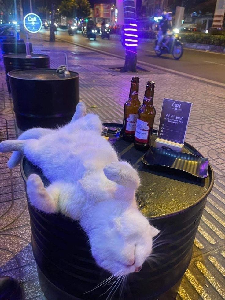 mood