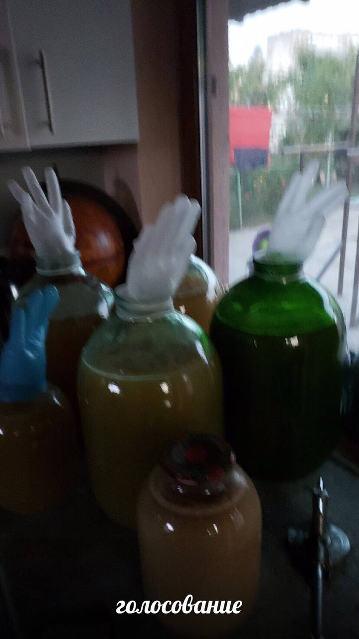 4 4 голосование