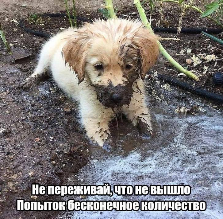 7 3 4 4 у 26 у у He He вышло: что не вышло: Попь бесконечное бесконечное количество,