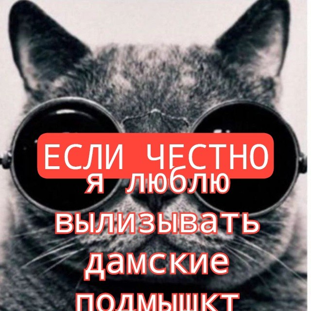 ЕСЛИ ЧЕСТНО я люблю вылизывать дамские
