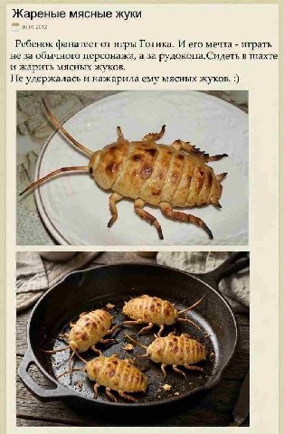 Жареные мясные жуки 2012 Ребенок фанатеет от игры Готика. И его мечта играть не за обычного персонажа, а за рудокопа.Сидеть в шахте и жарить мясных жуков. Не удержалась и нажарила ему мясных жуков. У»