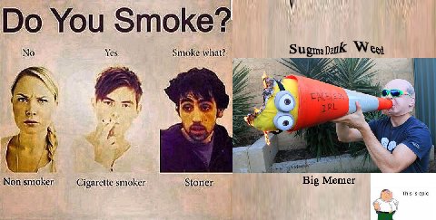 You Smoke? No Yes Smoke what? bank Уча Non smoker Cigarette smoker Stoner Bip This is epic 5