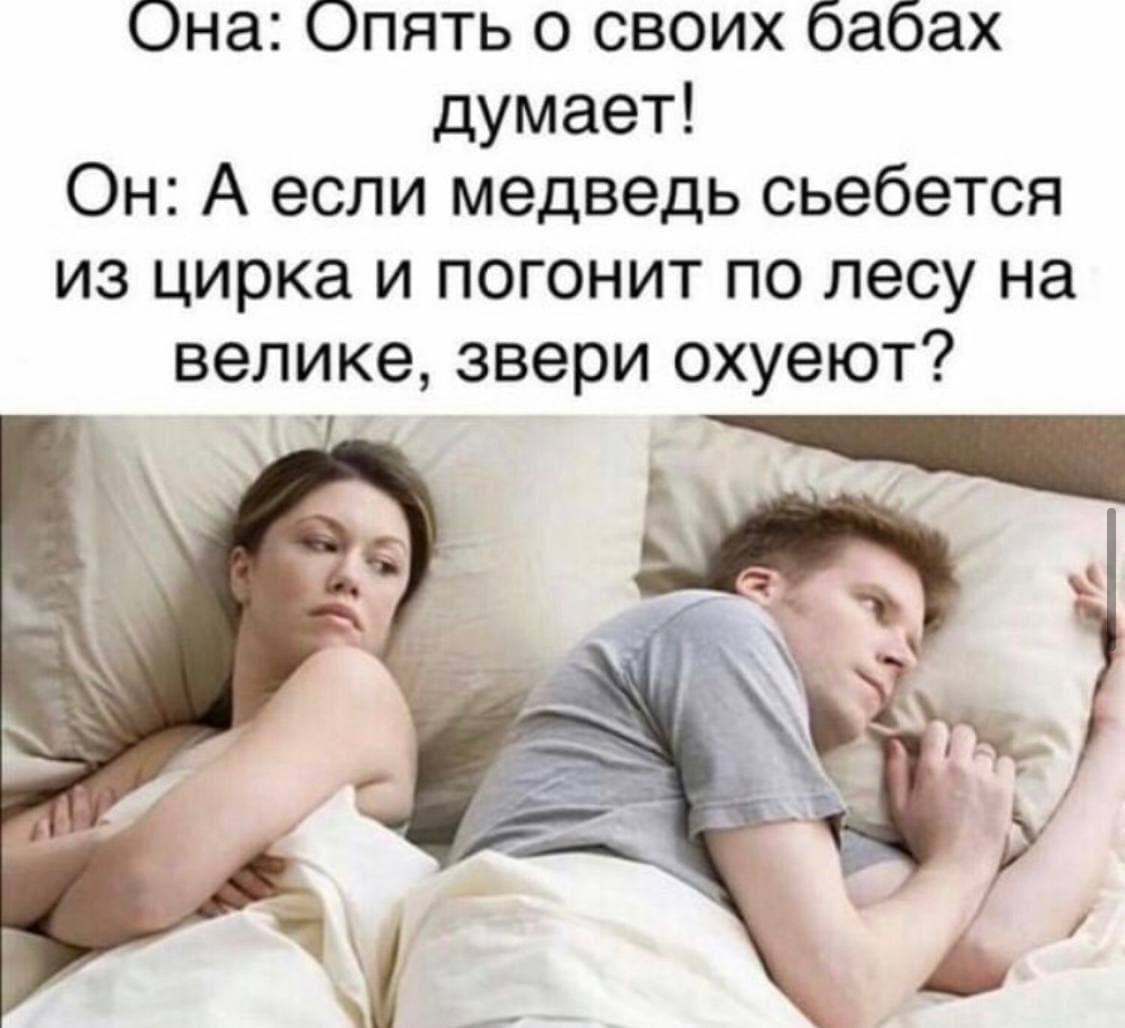 Она: Опять о своих бабах думает! Он: А если медведь сьебется из цирка и погонит по лесу на велике, звери охуеют? 4 у