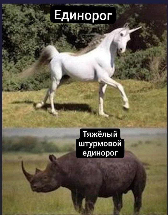 Единорог 9 Тяжелый штурмовой единорог