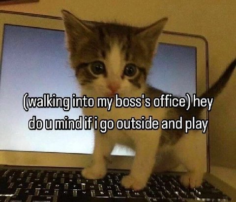 (walking, into my boss's office) hey outside and play