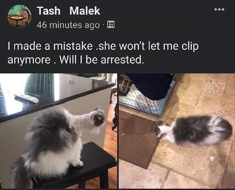 Tash Malek 46 minutes адо made a mistake .she won't let clip anymore Will be arrested.