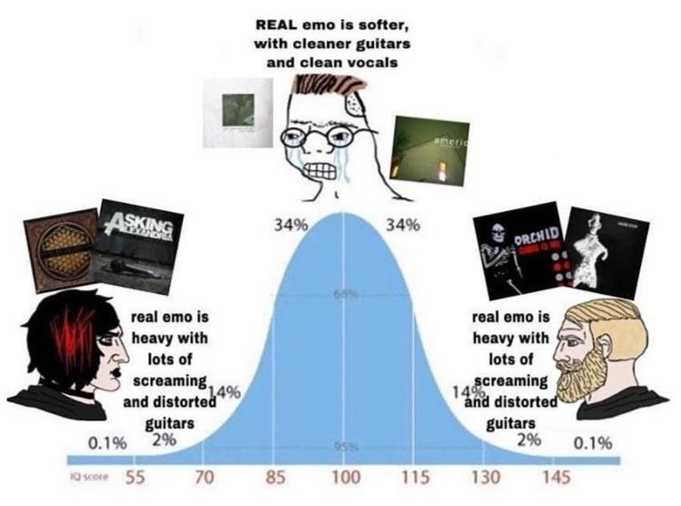 REAL ето is softer, with cleaner guitars and vocals 34% 34% We real emo is real emo is heavy with heavy with lots of lots of screaming gcreaming and distorte: 14% distorted guitars 2% guitars 2% 0.1% 