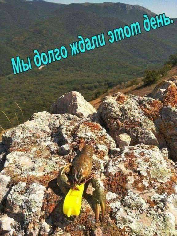 у AEP wee a aN ЗА mar a a 4