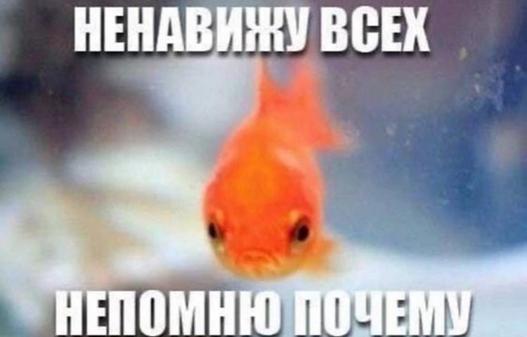 НЕНАВИЖУ ВСЕХ