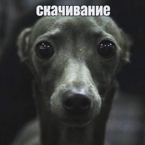 скачивание 4